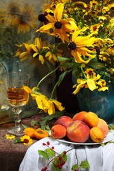 Similar image 21546549