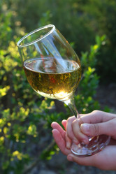 Similar image 21529514