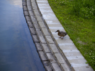 Similar image 21534368