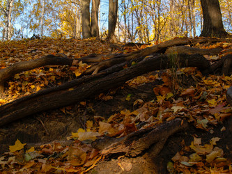 Similar image 21534373