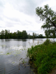 Similar image 21534269