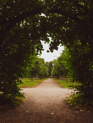 Similar image 21534270