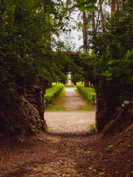 Similar image 21534271