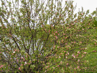 Similar image 21534278