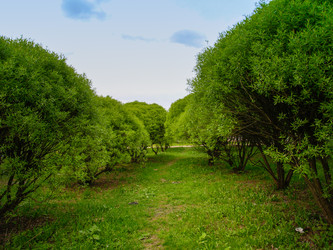 Similar image 21534280