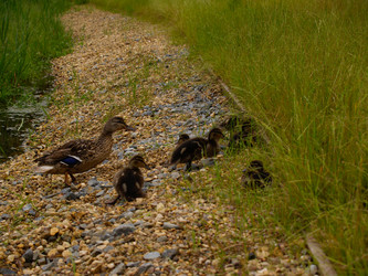 Similar image 21534285