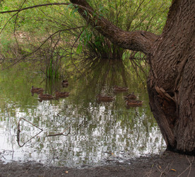 Similar image 21534287