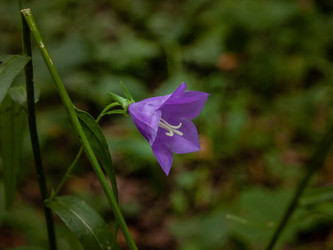 Similar image 21534288