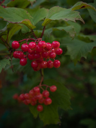 Similar image 21534290