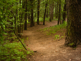 Similar image 21534292