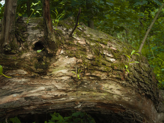 Similar image 21534293