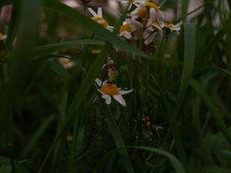 Similar image 21534294