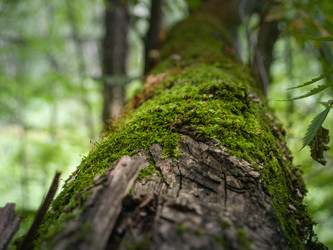 Similar image 21534295