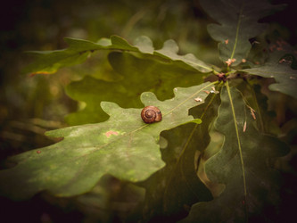 Similar image 21534296