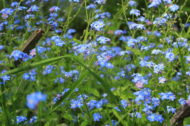 Similar image 21534297