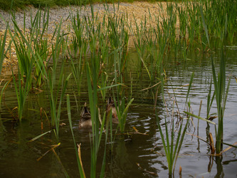 Similar image 21534301