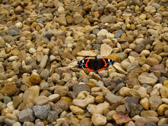 Similar image 21534305