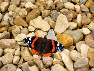 Similar image 21534307