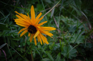 Similar image 21534309