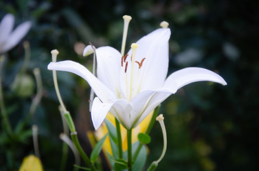 Similar image 21534310