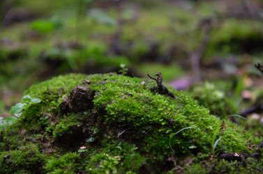 Similar image 21534311