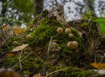 Similar image 21534312