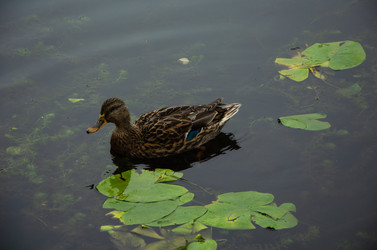 Similar image 21534313