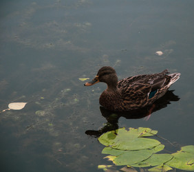 Similar image 21534316