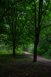 Similar image 21534317