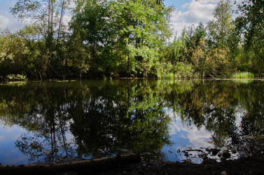 Similar image 21534377