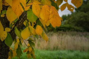 Similar image 21534378