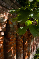 Similar image 21534380