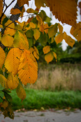 Similar image 21534382