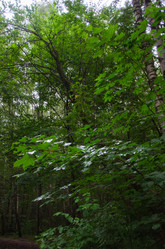 Similar image 21534383