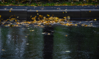 Similar image 21534384