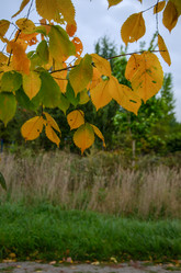 Similar image 21534386