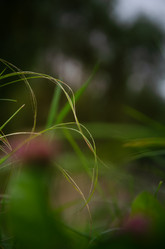 Similar image 21534388