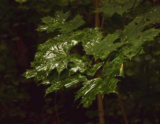 Similar image 21534389