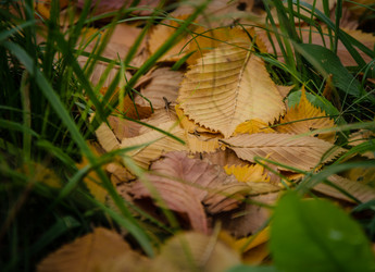 Similar image 21534390