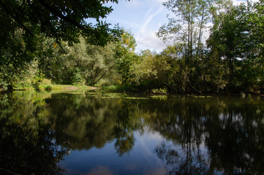 Similar image 21534391