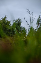 Similar image 21534392