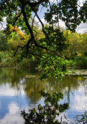 Similar image 21534393