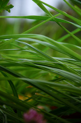 Similar image 21534394