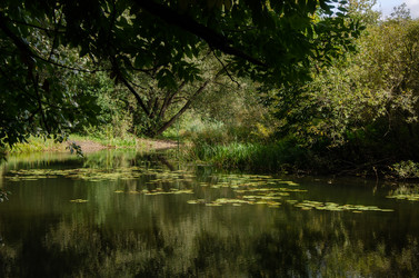 Similar image 21534395