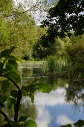 Similar image 21534397