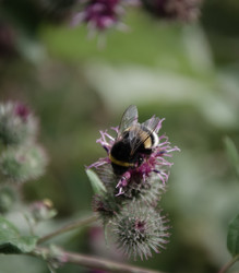 Similar image 21534398