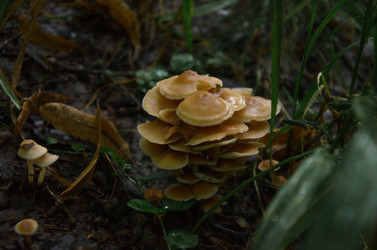 Similar image 21534399