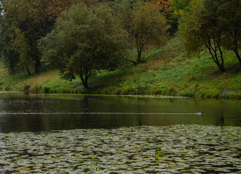 Similar image 21534401