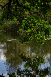 Similar image 21534403