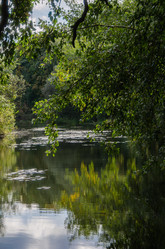 Similar image 21534405